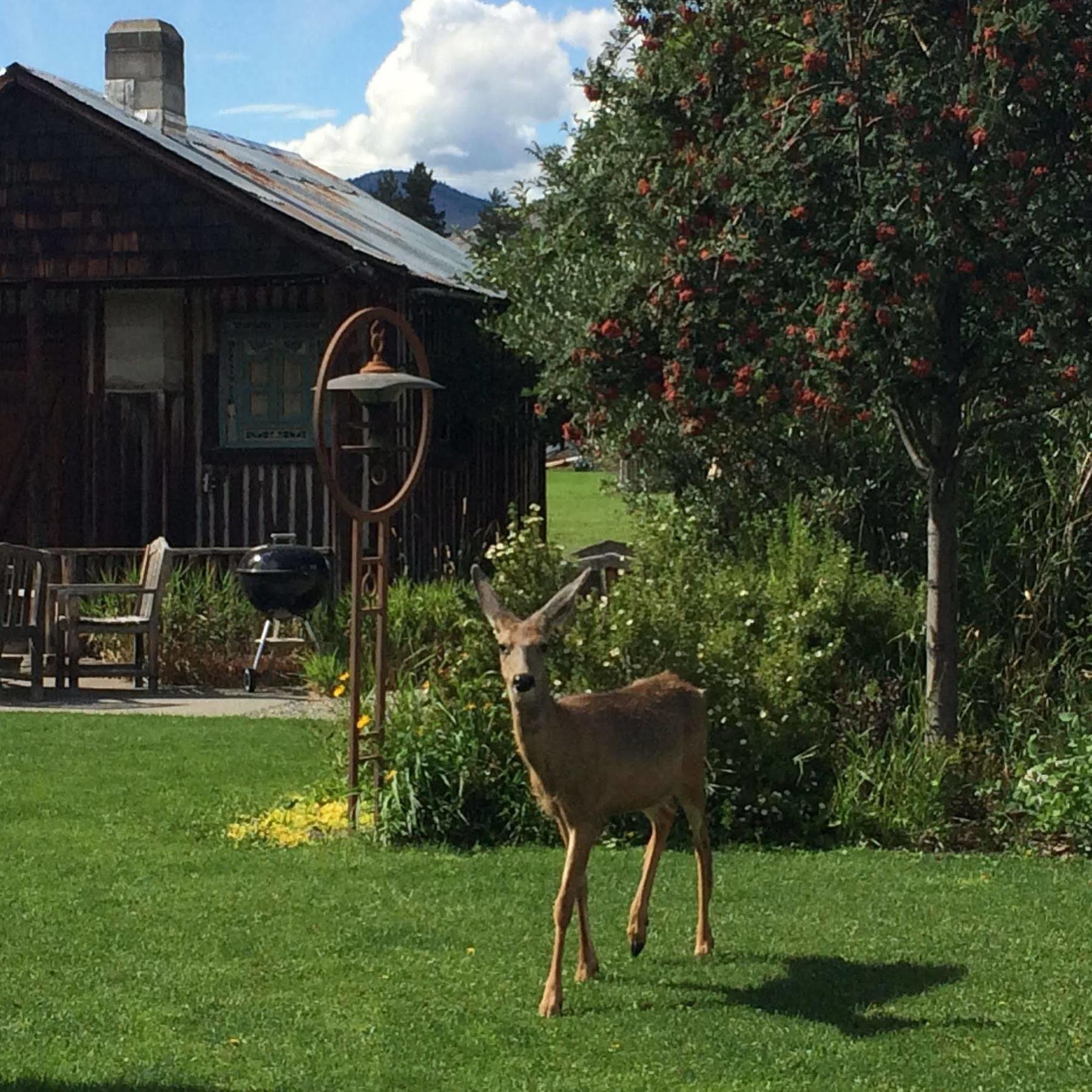 Mt Gardner Inn Winthrop Dış mekan fotoğraf
